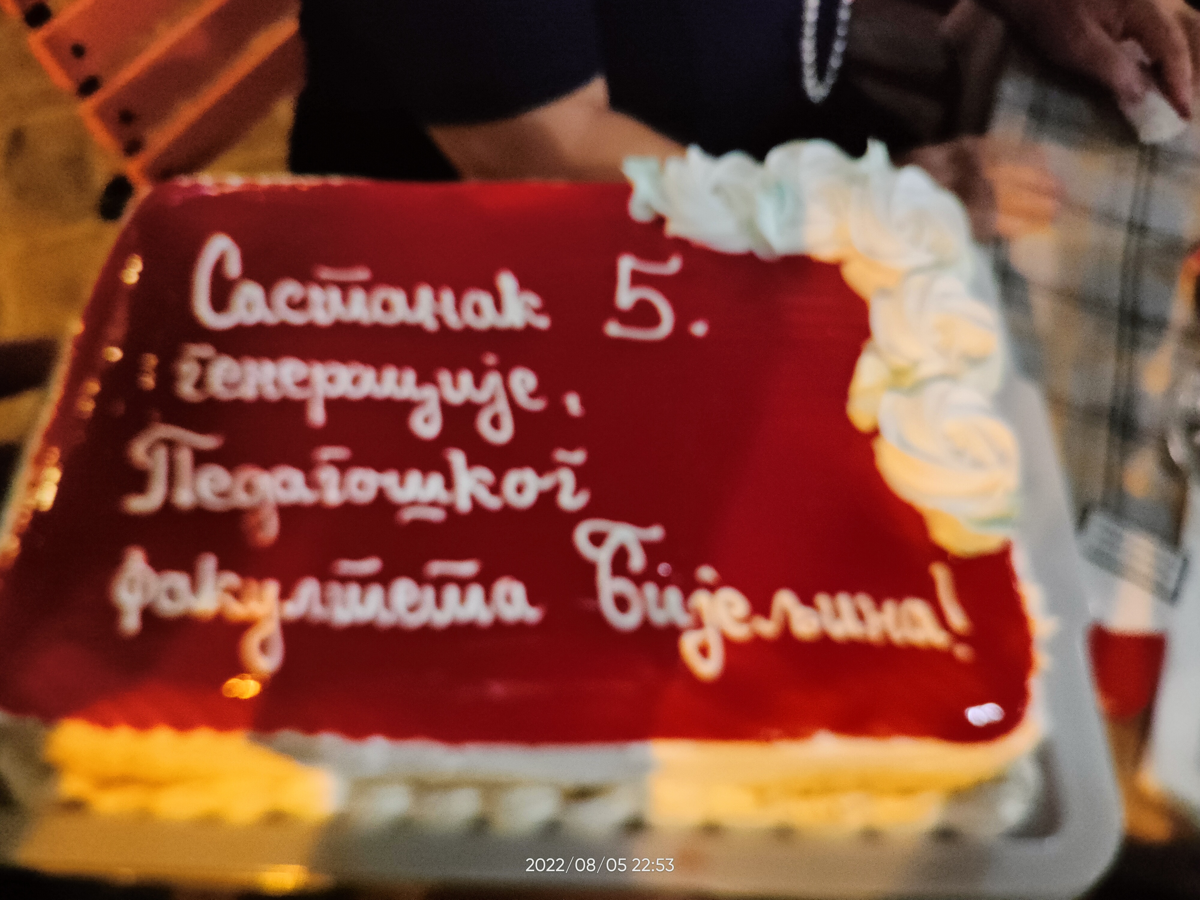 Peta generacija Pedagoškog fakulteta proslavila 20 godina od diplomiranja