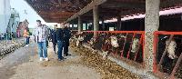 FOTO Kandidati Pokreta Uspješna Srpska obišli farmu Nebojše Đokića iz Dvorova