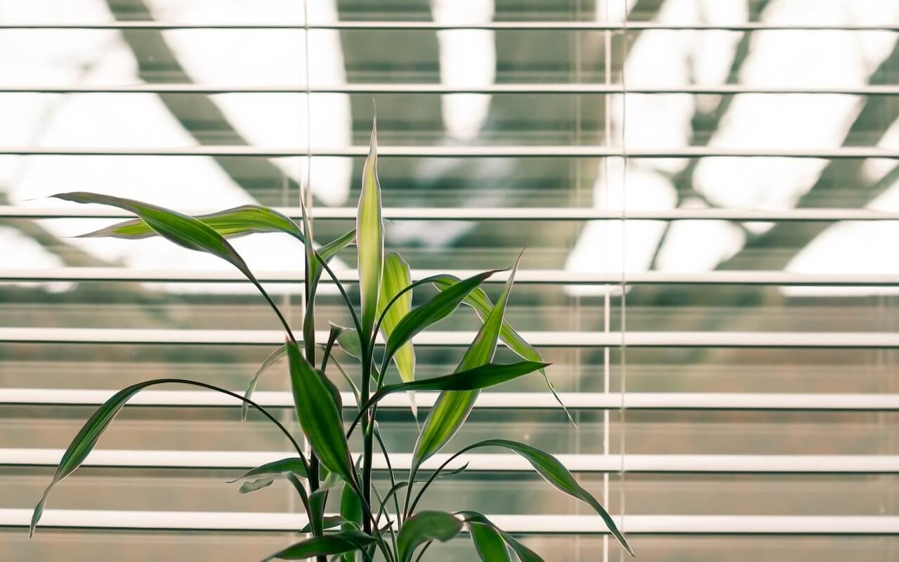Feng shui pravila za uspjeh i izobilje u novom poslovnom prostoru