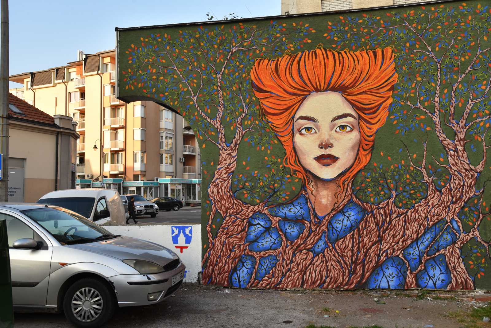 MERAKI MURAL FEST: Za ljepše lice Bijeljine