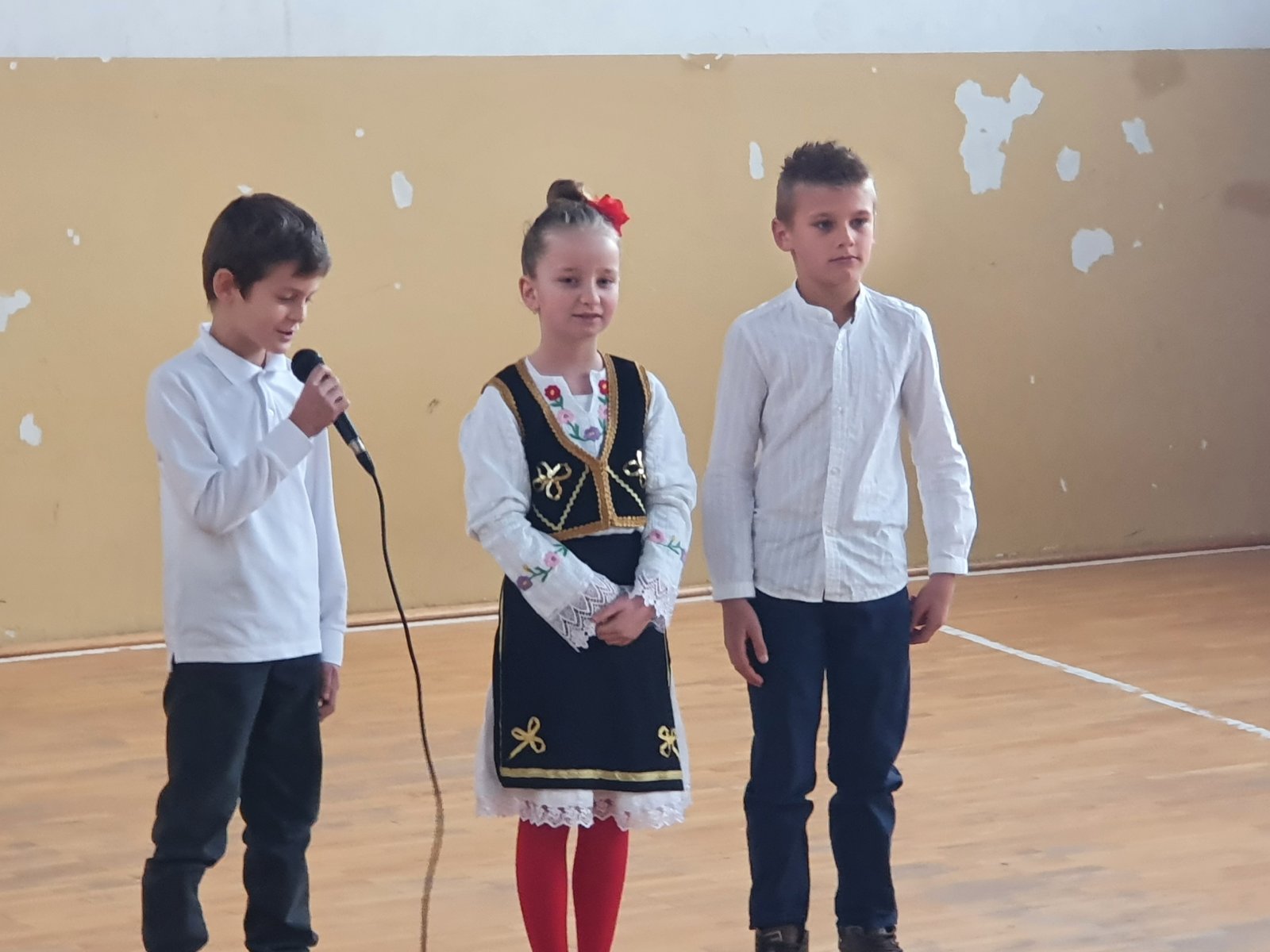 Sveti Sava svečano obilježen u školama na Majevici