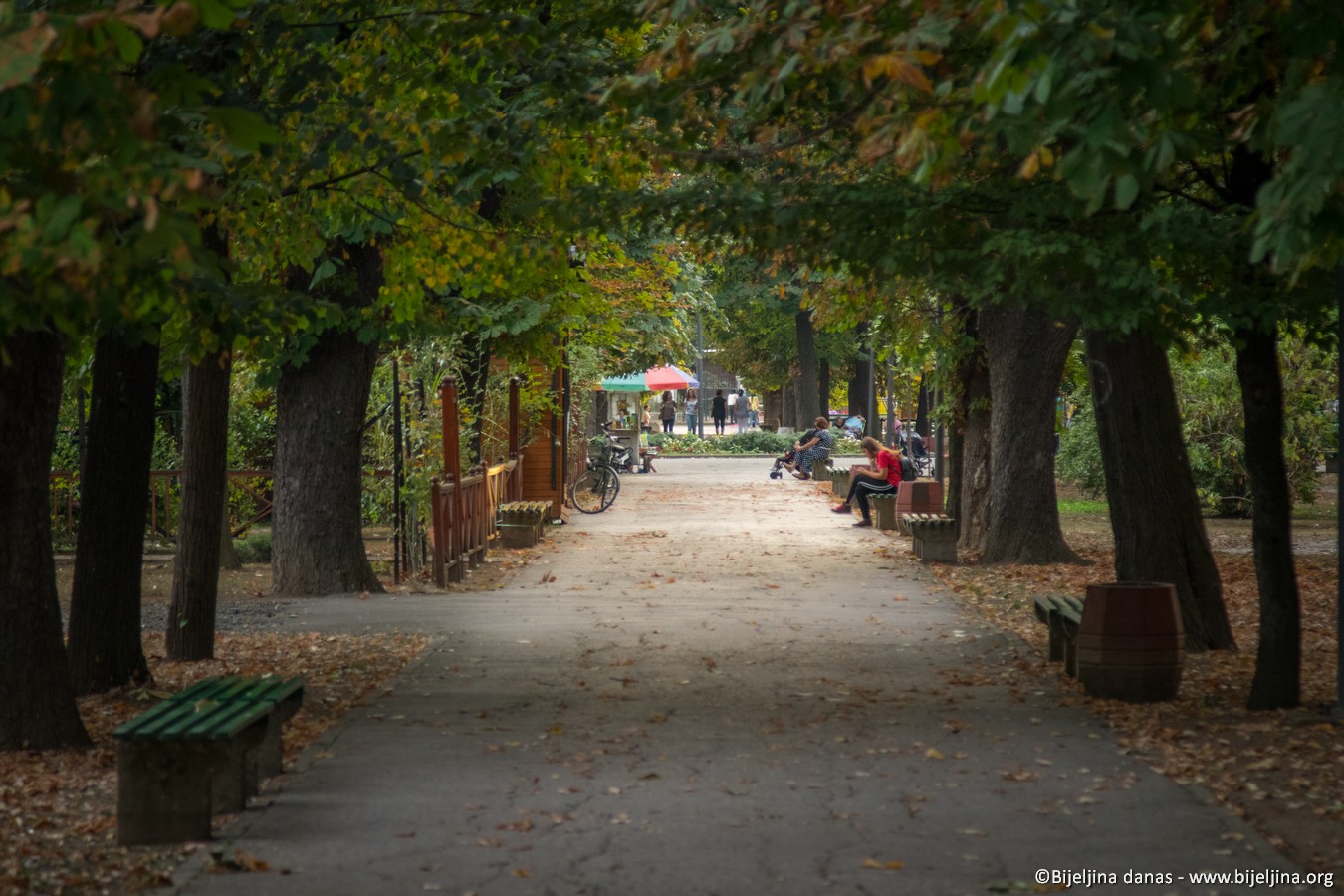 Gradski park - „pluća“ našeg grada