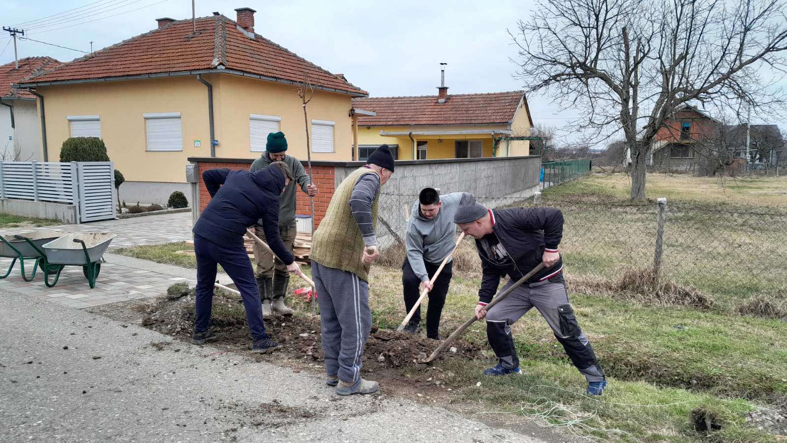 Nastavljena sadnja drvoreda u Janji