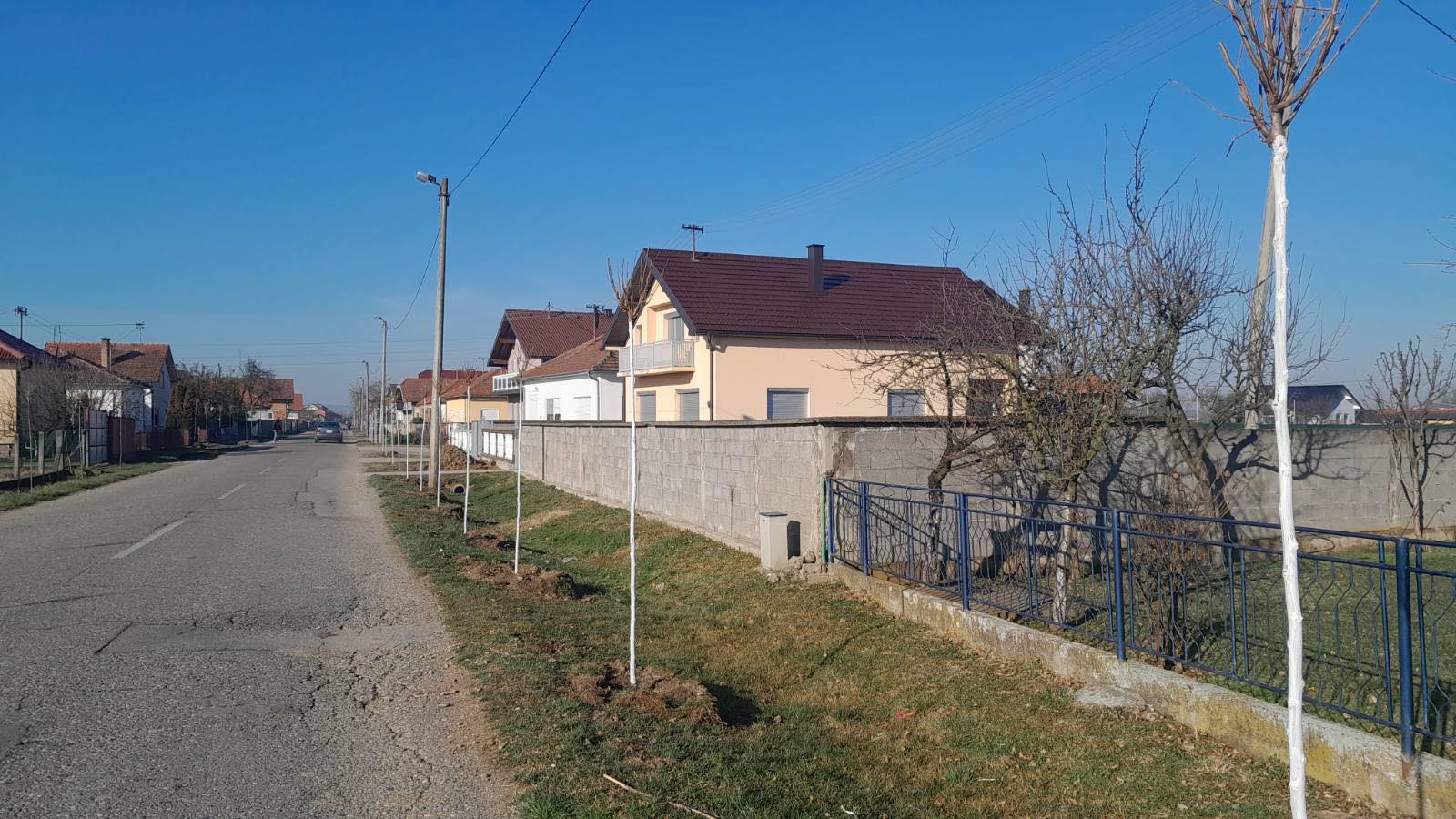 Nastavljena sadnja drvoreda u Janji