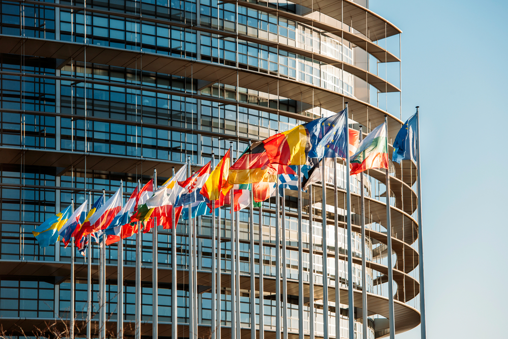 Savjet Evrope izdao upozorenje zbog kriminalizacije klevete i uvrede u RS