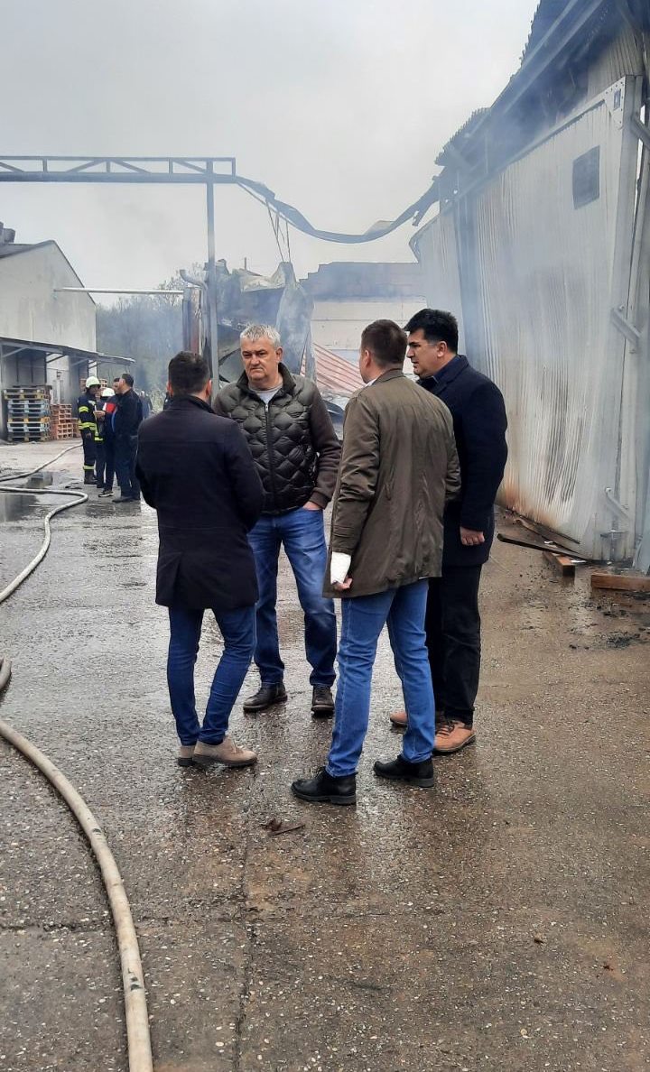 Grad će pomoći „Mega drvu“