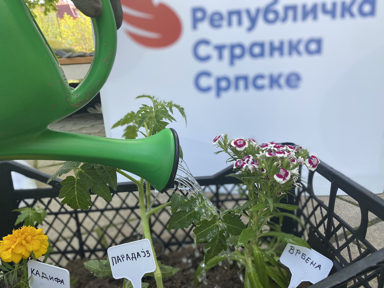 RSS obilježila Dan planete Zemlje, mališani sadili sadnice i učili o prirodi (FOTO)