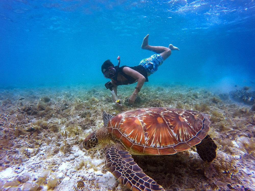 Maldivi ili Karibi – kako da izaberete savršenu destinaciju za letovanje?