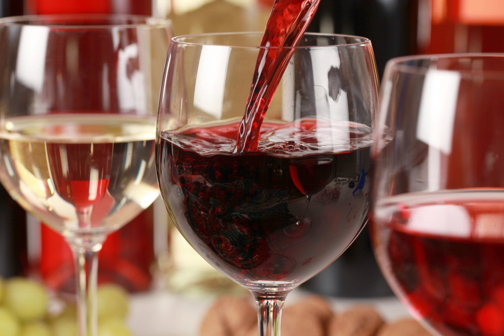 REGIO 2023 Turistička organizacija Bijeljina organizuje Salon vina