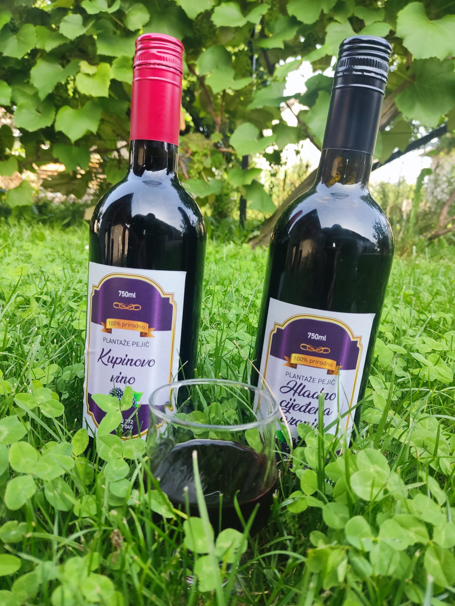 Aronija i kupina iz semberske ravnice sa plantaža porodice Pejić