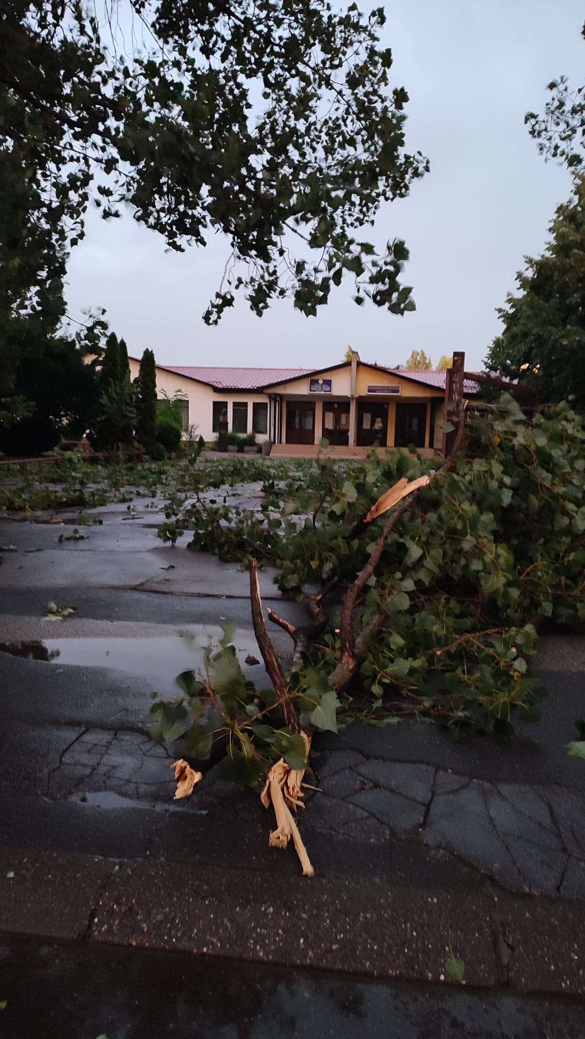 NEVRIJEME U BIJELJINI Osmoro lakše povrijeđenih zatražilo ljekarsku pomoć FOTO/VIDEO
