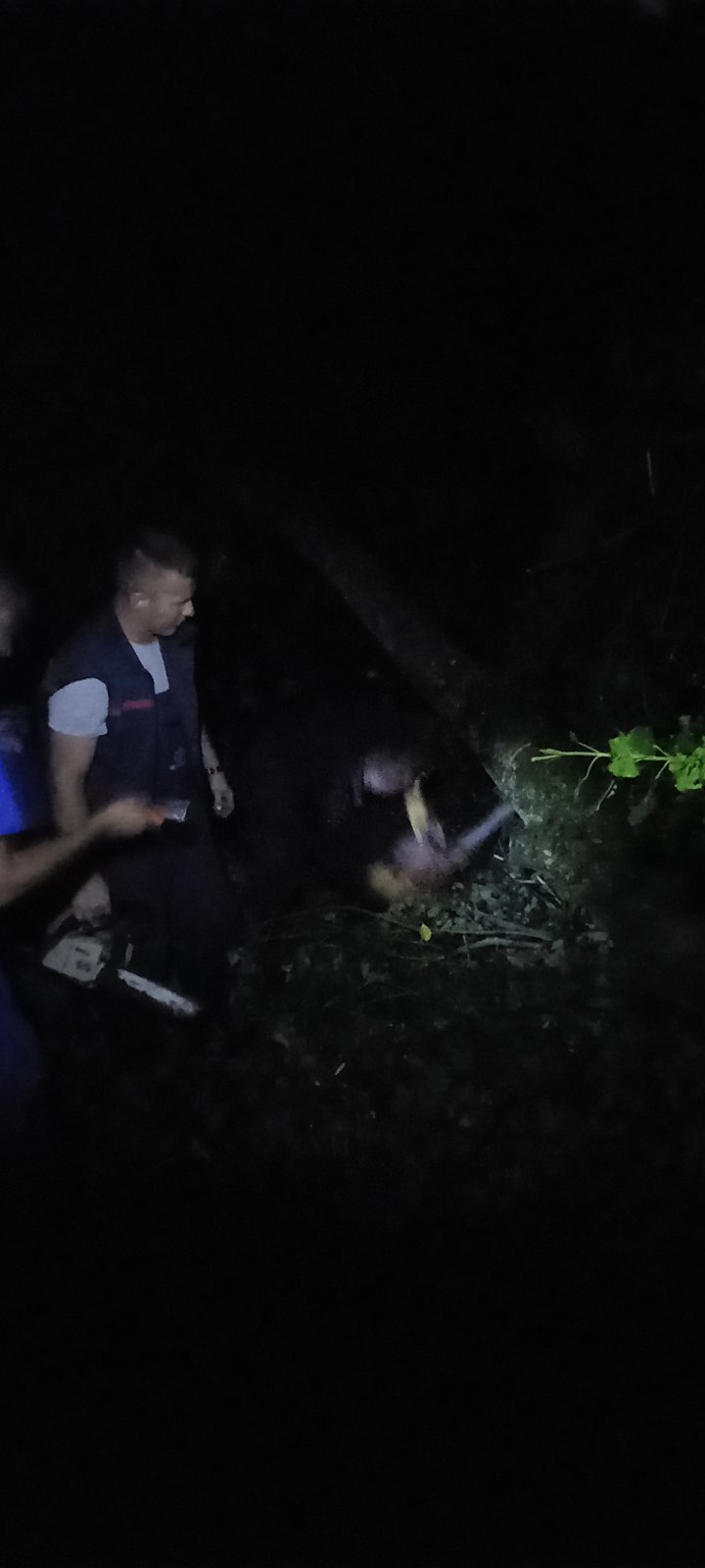Elektro-Bijeljina: Dalekovodi i mreža u lošem stanju, molimo građane za stpljenje FOTO