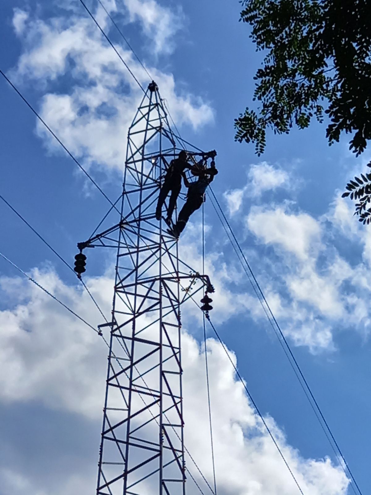 Elektro-Bijeljina: Dalekovodi i mreža u lošem stanju, molimo građane za stpljenje FOTO