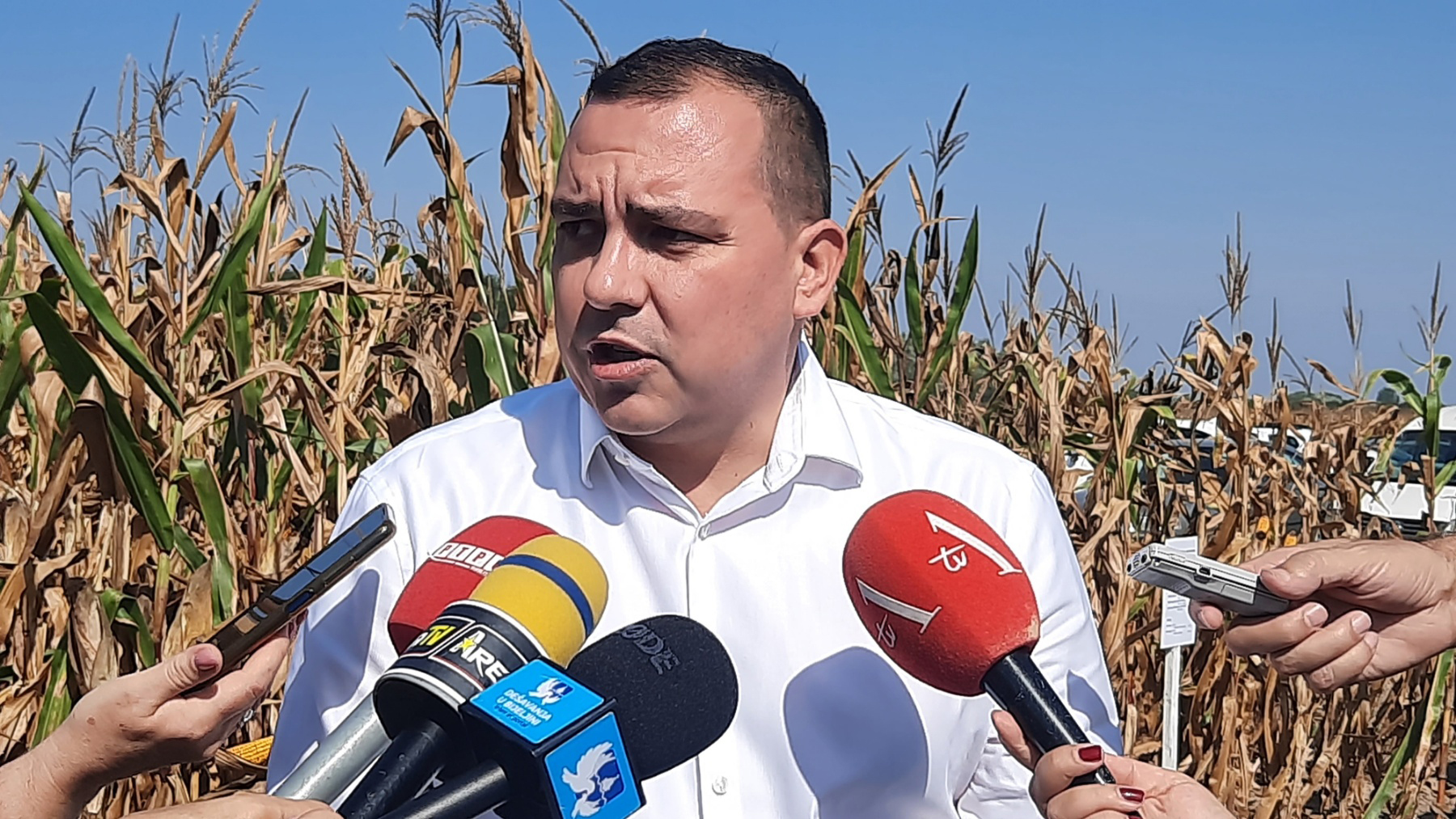Ovogodišnji rod kukuruza bolji nego lani