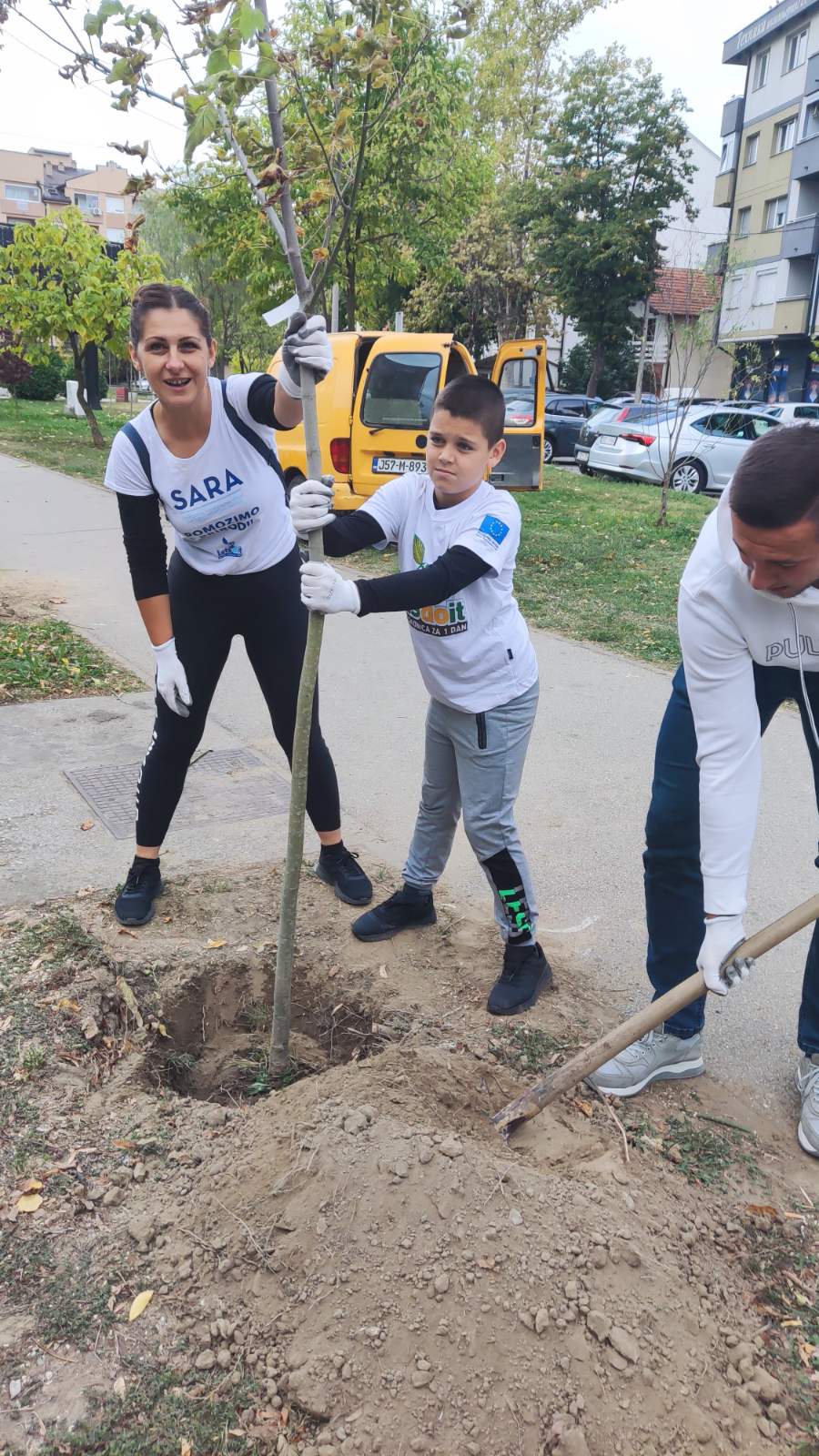 Bijeljina: Milioneri ponovo u akciji, zasađeno pet sadnica Acer negundo - Pajavac