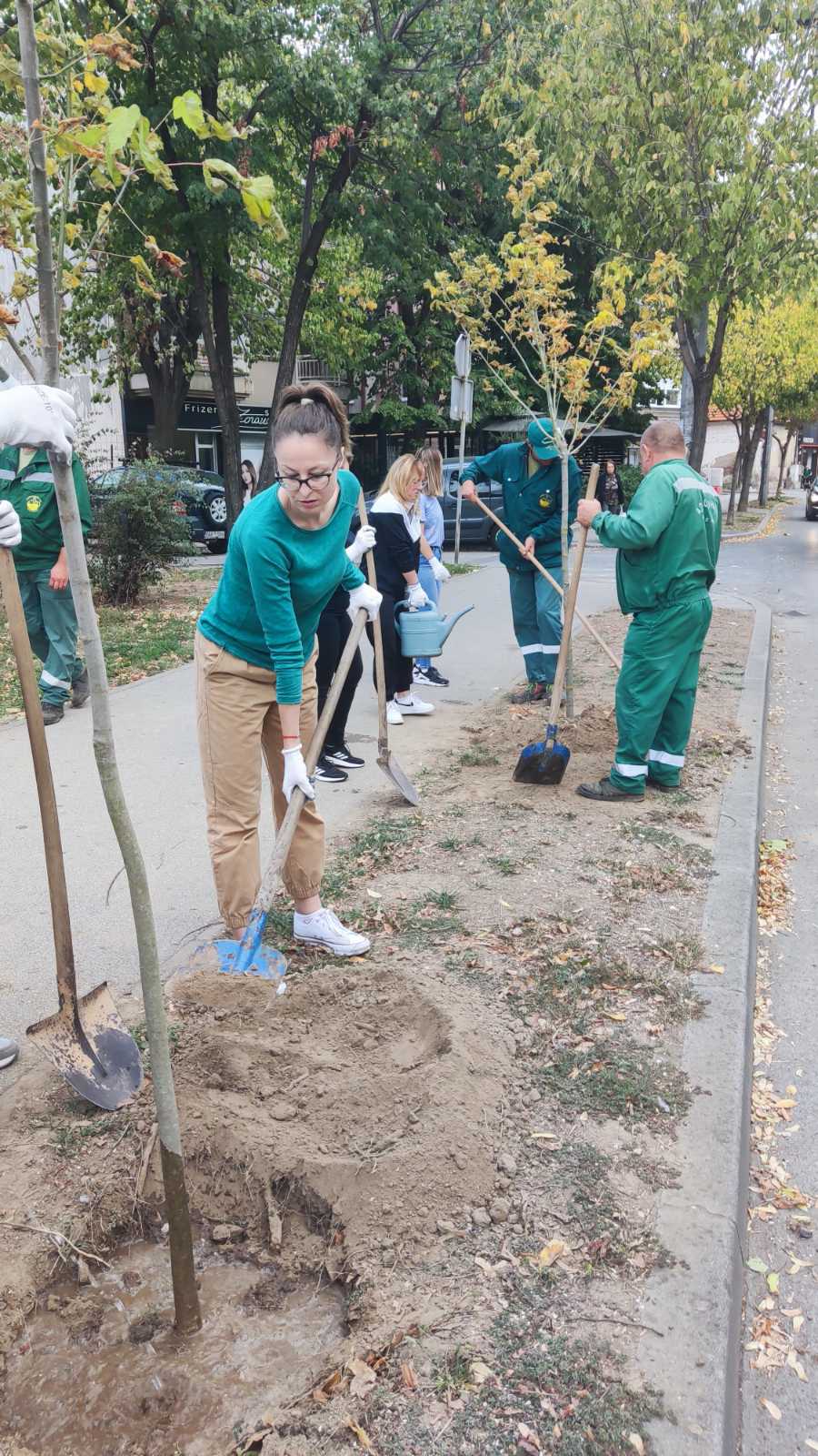Bijeljina: Milioneri ponovo u akciji, zasađeno pet sadnica Acer negundo - Pajavac
