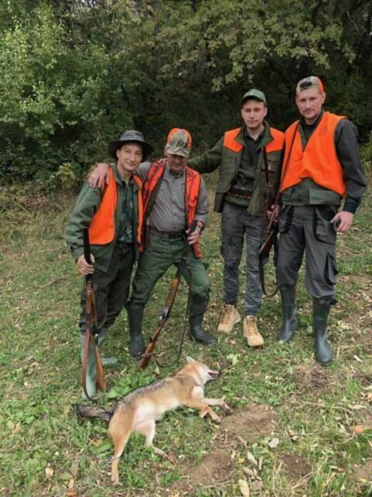 Porast broja šakala, brzog i opasnog predatora, na teritoriji Donje Trnove