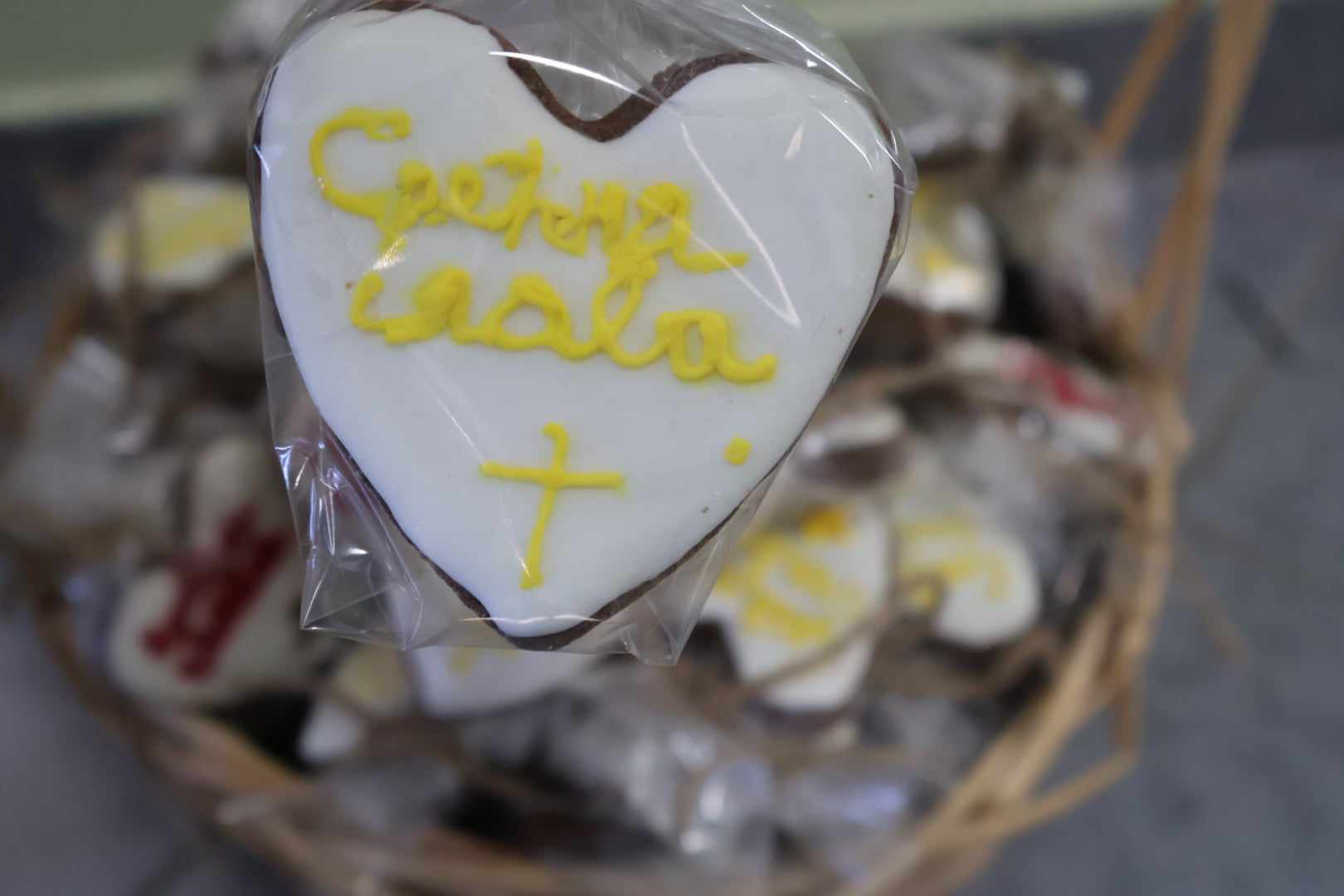 Osnovna škola u Donjoj Trnovi proslavila školsku slavu: Obrazovanje i tradicija u fokusu