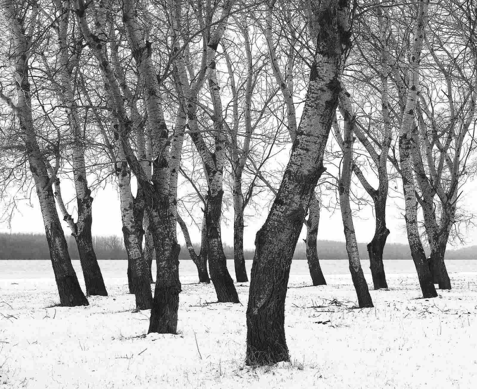 U Gimnaziji održano predavanje i proglašeni pobjednici konkursa ,,Fotoaparatom, a ne metkom”