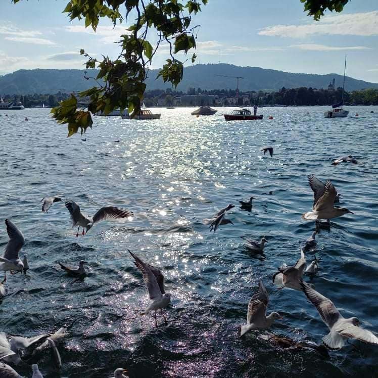 U Gimnaziji održano predavanje i proglašeni pobjednici konkursa ,,Fotoaparatom, a ne metkom”