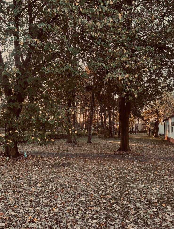 U Gimnaziji održano predavanje i proglašeni pobjednici konkursa ,,Fotoaparatom, a ne metkom”