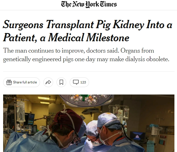 Prva transplantacija bubrega sa svinje na čovjeka