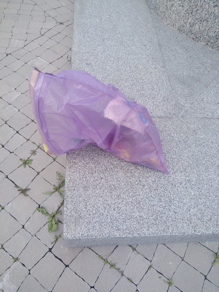 DAN PLANETE ZEMLJE Učenici očistili park u centru Ugljevika