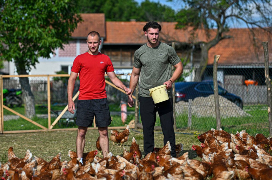 VIDEO "Farma 5 jaja" iz Pučila senzacija na društvenim mrežama, pogledajte zašto
