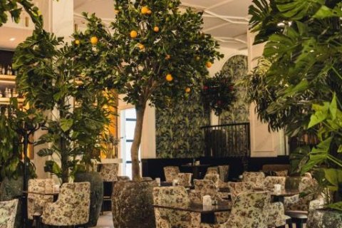 Hotel Balkan