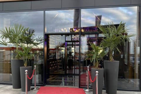Local Steak House