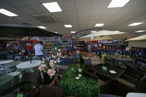 TC Verno