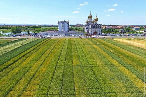 Manastir Svete Petke