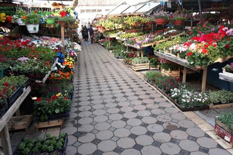 Zelena pijaca