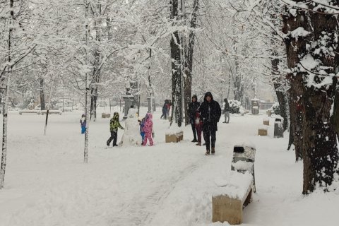 Gradski park