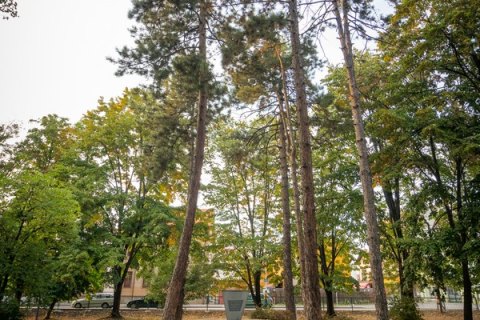Gradski park