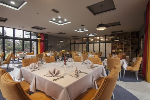 Hotel Drina