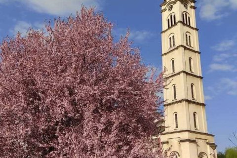 Saborni hram Rođenja Presvete Bogorodice